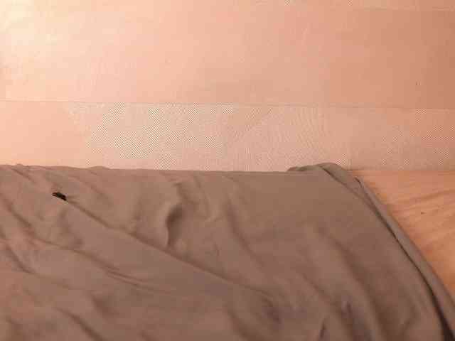 AmberVale webcam