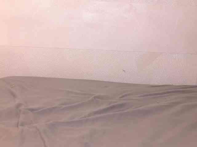 AmberVale webcam