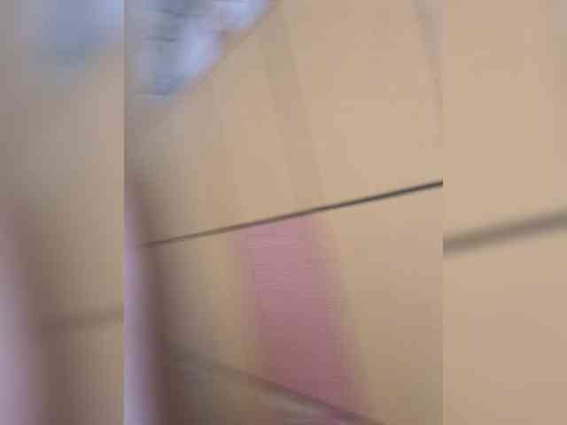 PrimeTits webcam