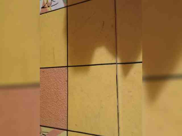 PrimeTits webcam
