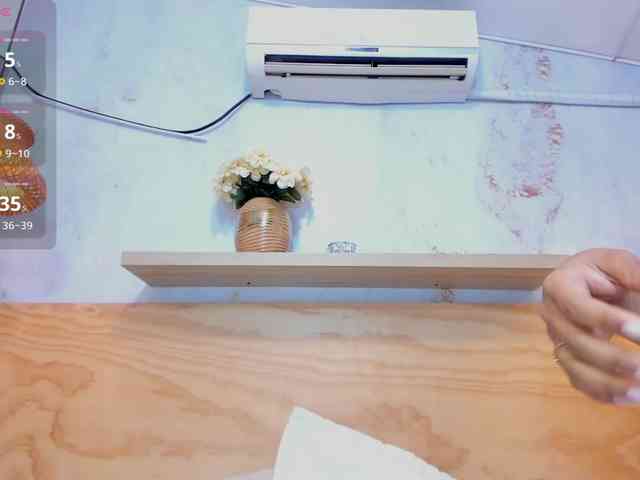 samishar webcam