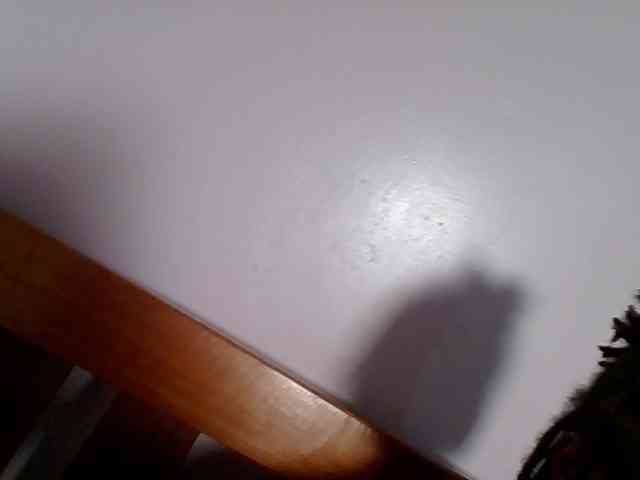 Sweetariah1 webcam