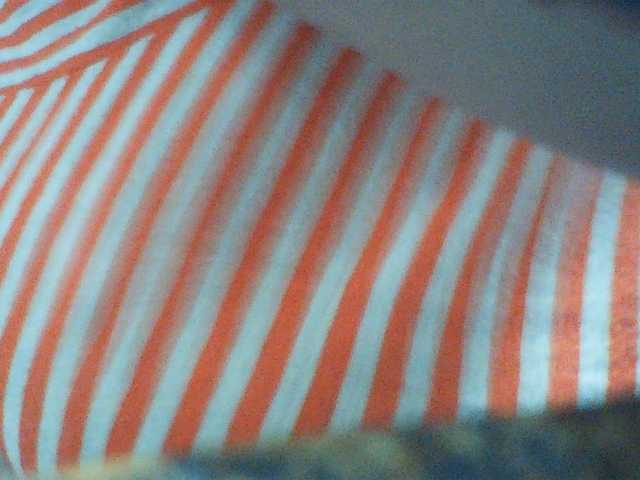 Jecel live webcam show