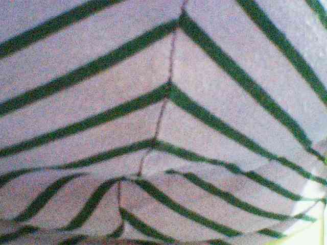 Jecel webcam
