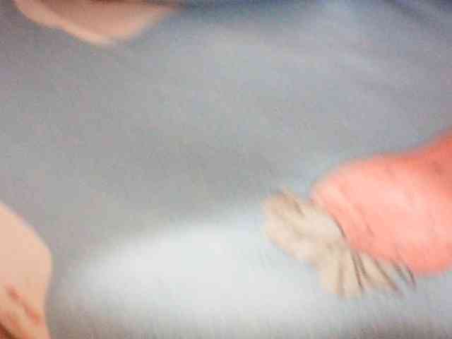 Jecel webcam