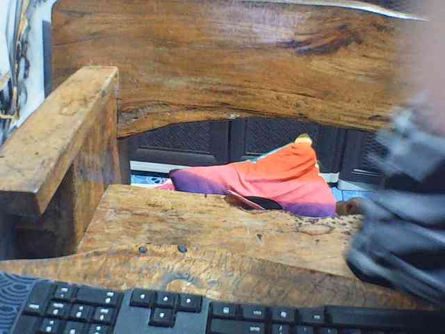 Jecel webcam