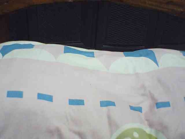 Jecel webcam