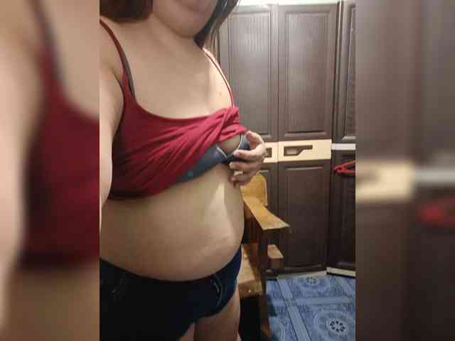Model: Jecel