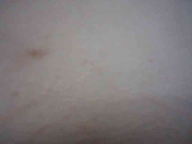 Jecel webcam