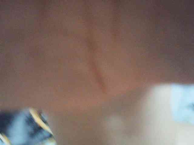 Jecel webcam
