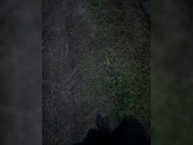 VladikKotik-1