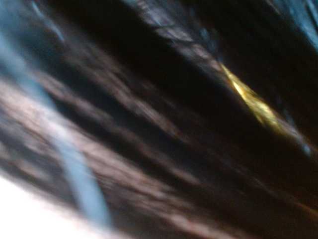 HELOOO1