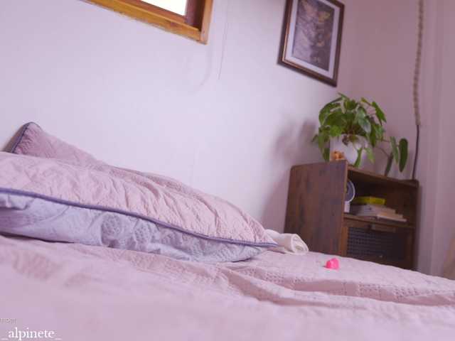 Alphonsine live cam on BongaCams