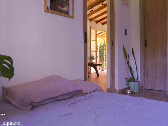 Alphonsine webcam