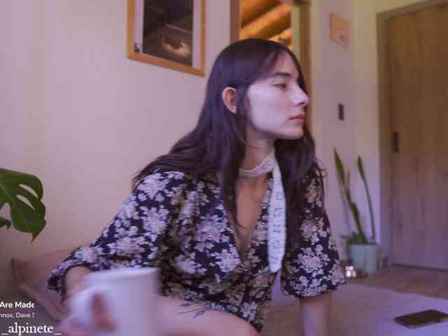 Alphonsine webcam