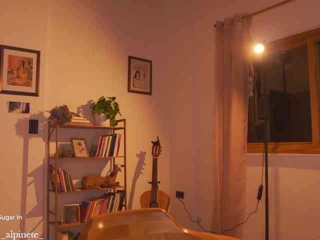 Alphonsine webcam