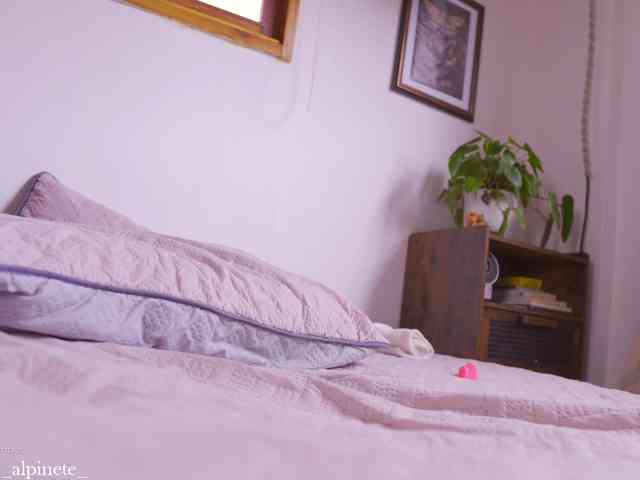 Modelo: Alphonsine