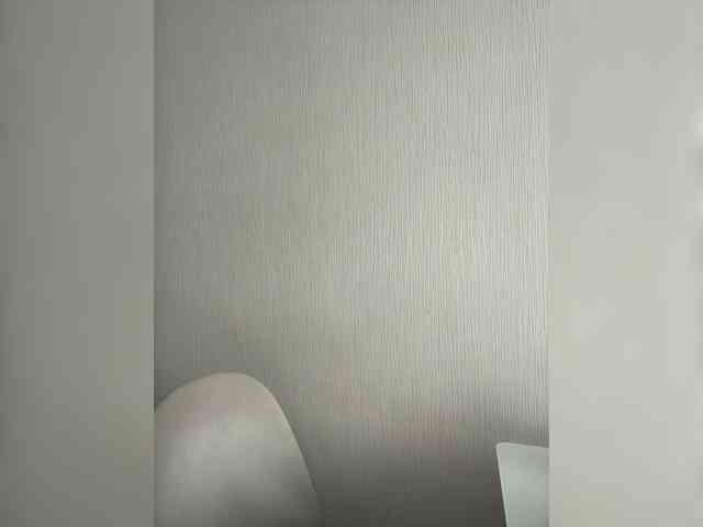 Alisaa-00 webcam