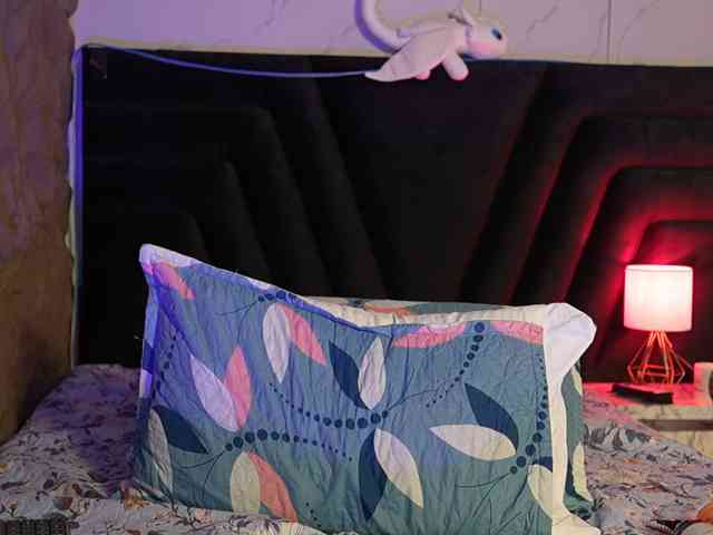 princessvictoria webcam