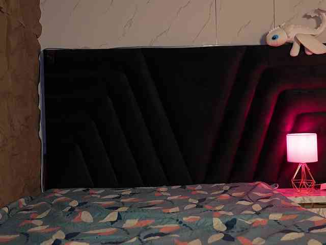 princessvictoria webcam
