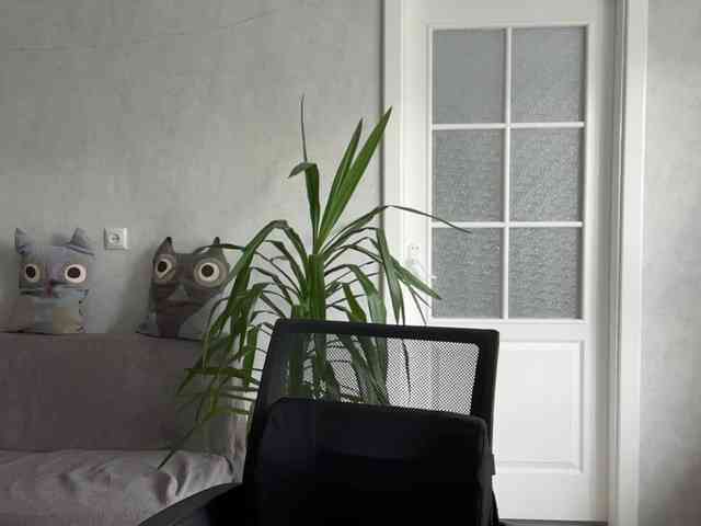 CarlotaWnorowski webcam