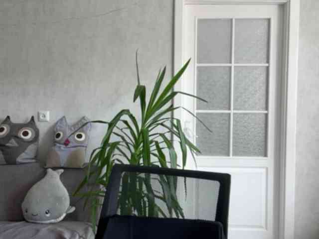 CarlotaWnorowski webcam