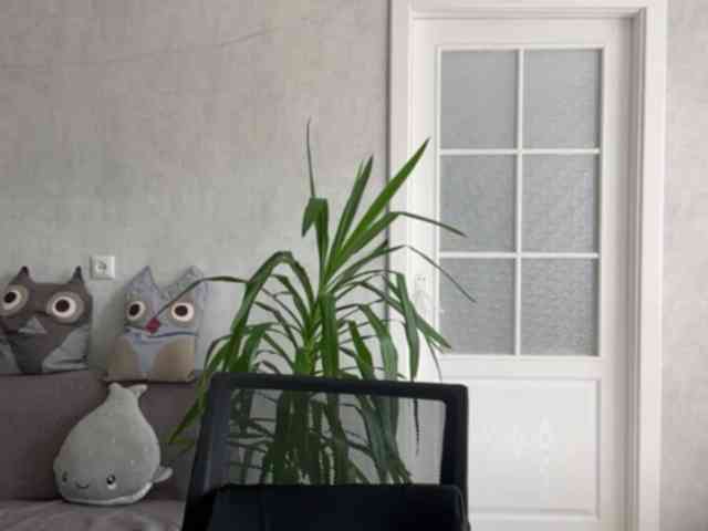 CarlotaWnorowski webcam