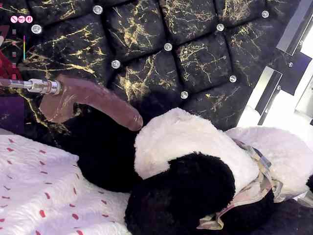 Antonella-smitt webcam
