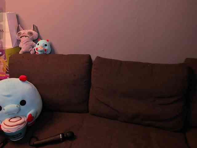 PieCreamys webcam
