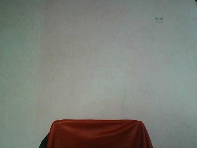 Camille live cam on BongaCams