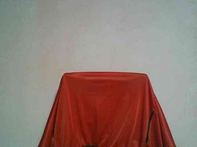 Camille webcam