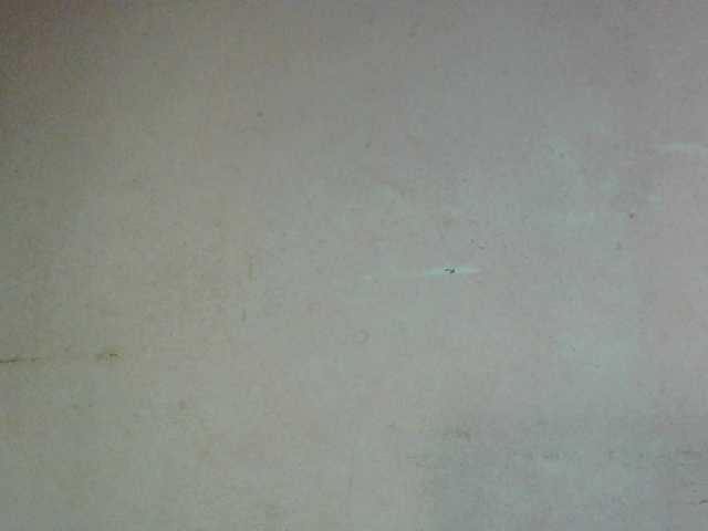 Louane01 live cam on BongaCams