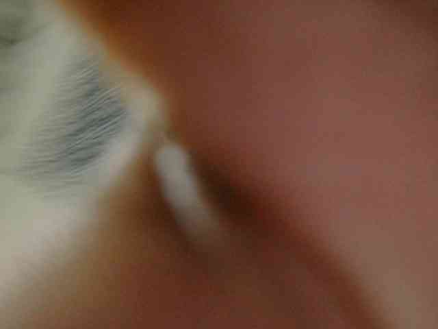 pervertmom webcam