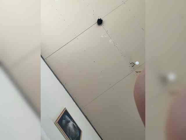 mari12-1 webcam