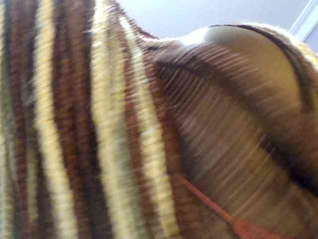 Natty-nasty webcam