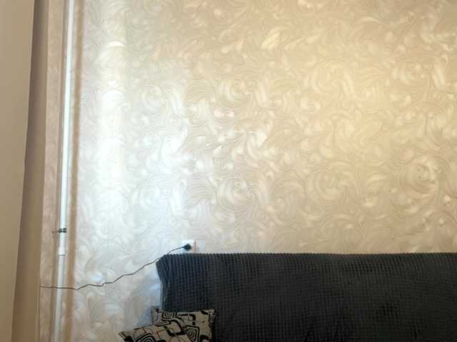 HilmaTrautmann live cam on BongaCams