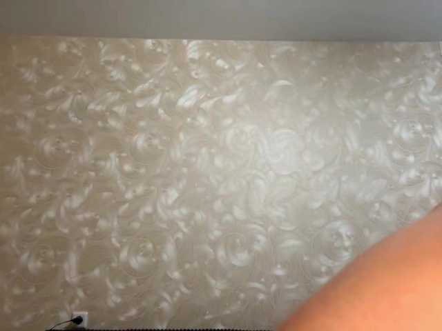 HilmaTrautmann live cam on BongaCams