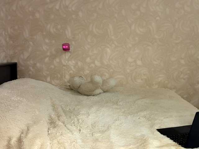 HilmaTrautmann live cam on BongaCams