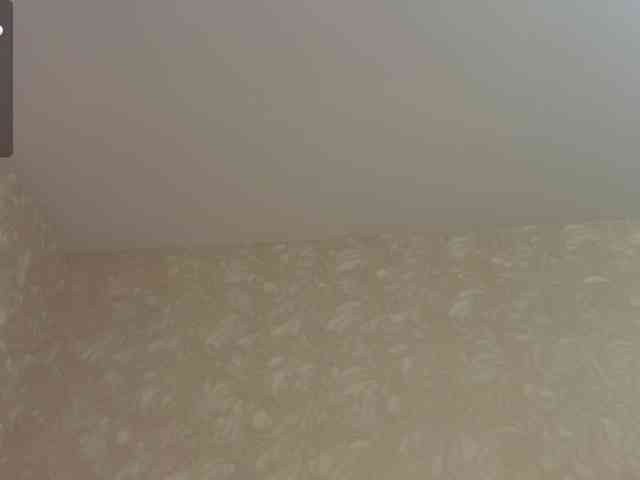 HilmaTrautmann webcam
