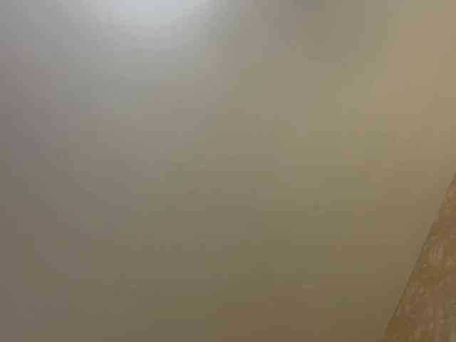 HilmaTrautmann webcam