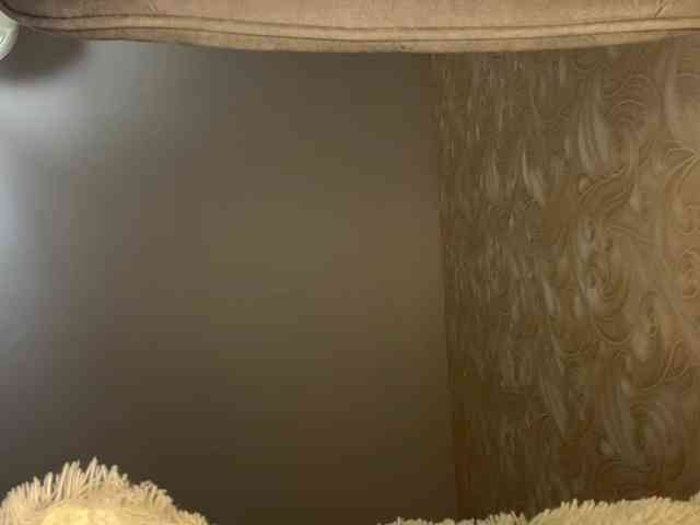 HilmaTrautmann webcam