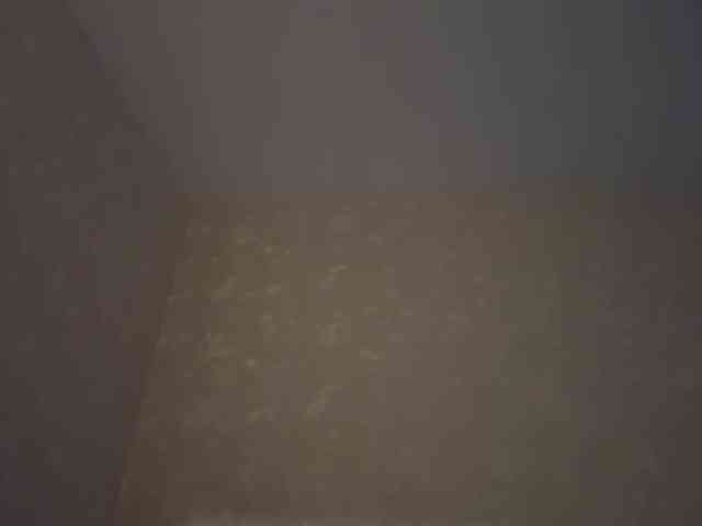HilmaTrautmann webcam