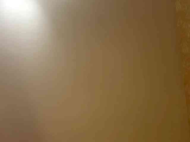 HilmaTrautmann webcam