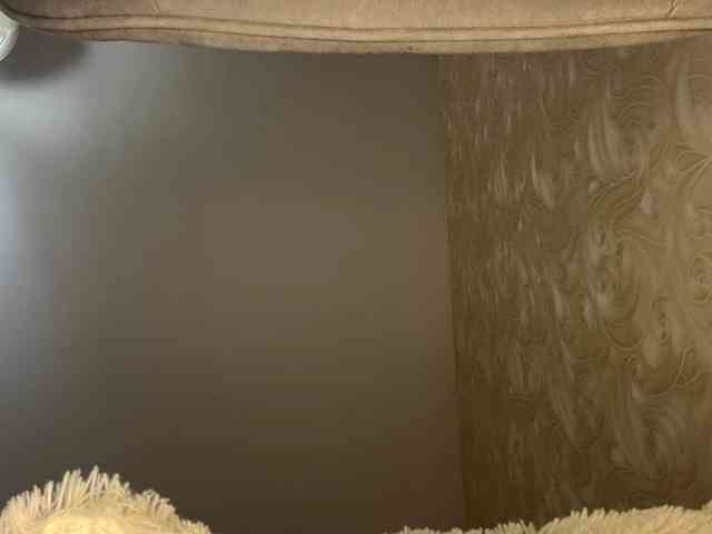 HilmaTrautmann webcam