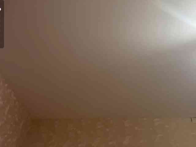 HilmaTrautmann webcam
