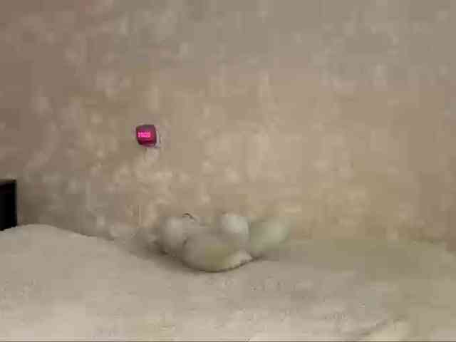 HilmaTrautmann webcam