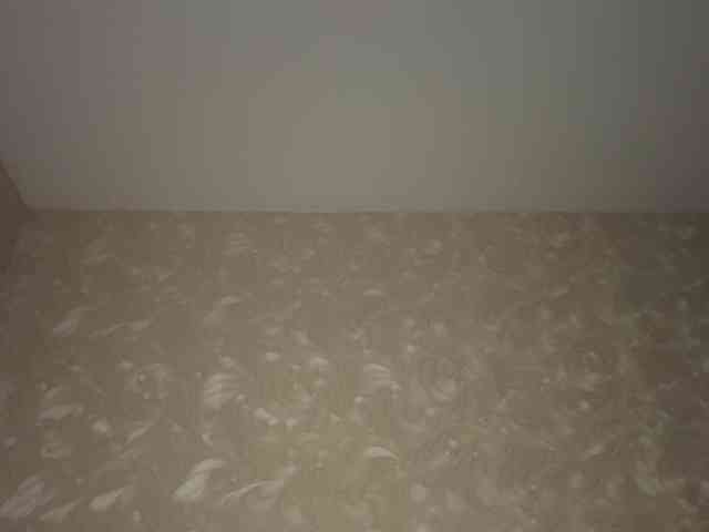 HilmaTrautmann webcam