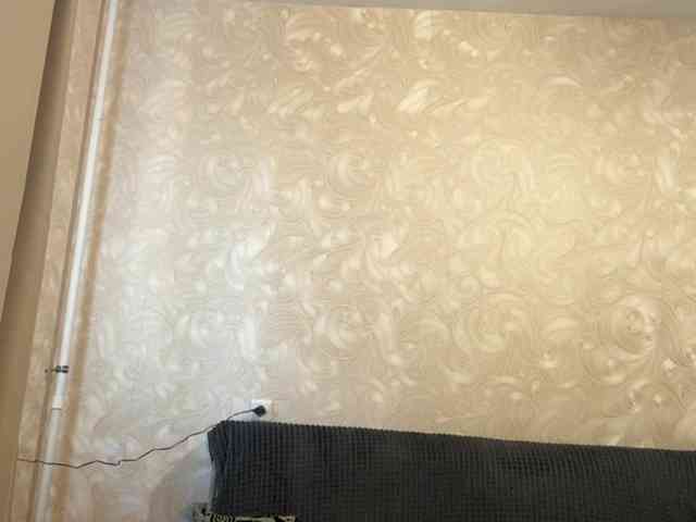 HilmaTrautmann webcam