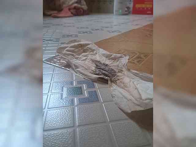 LioVex webcam
