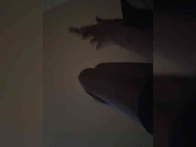LioVex webcam